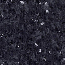 Линолеум Tarkett iq Toro Sc BLACK 0103 фото 1 | FLOORDEALER